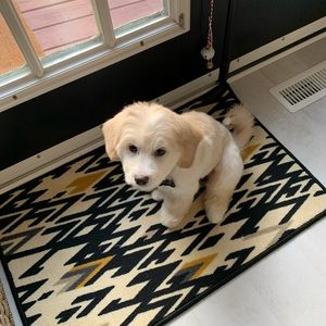 Meet your Posher, Jenna